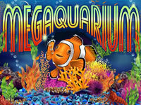 Megaquerium