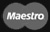 Maestro Debit Card Payment Method