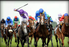 Sports Betting - Horse Racing